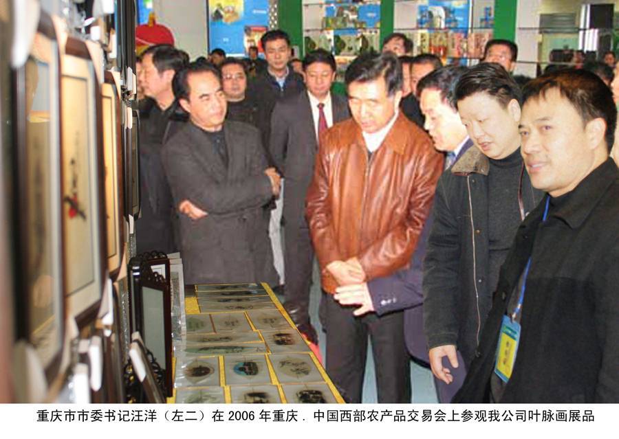 重庆市市委书记汪洋在2006年重庆、中国西部农产品交易会上参观我公司的叶脉画展品