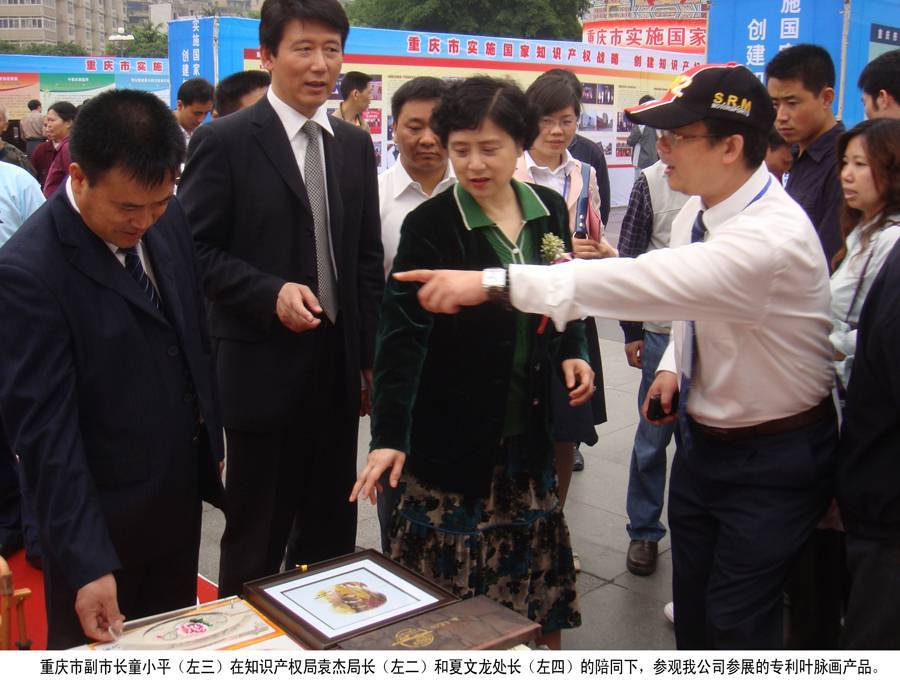 重庆市副市长童小平在知识产权局袁杰局长和夏文龙处长的陪同下，参观我公司参展的专利叶脉画产品
